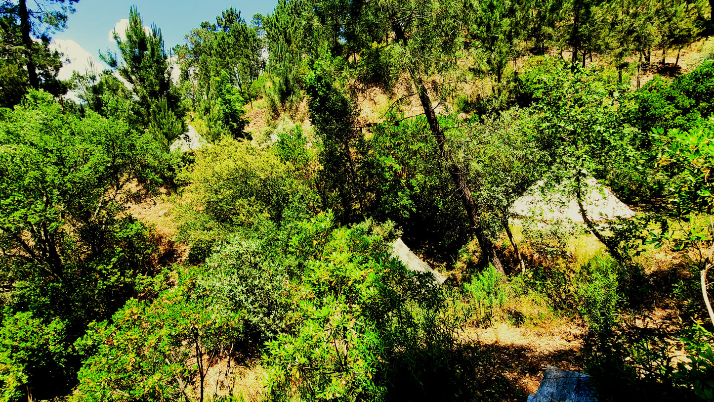7 Centers Release Retreat | Portugal 2026 | Skyward Flow