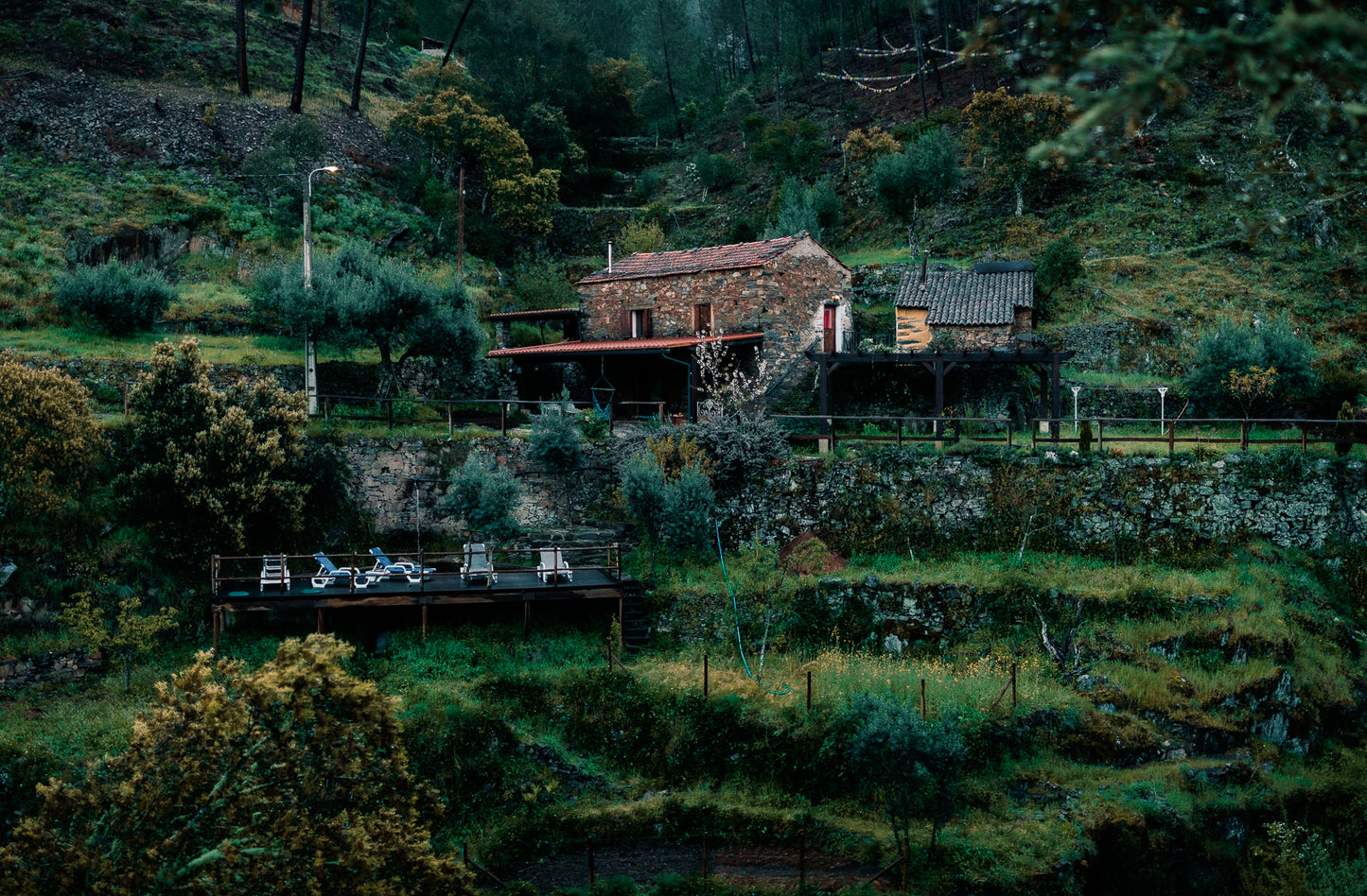 7 Centers Release Retreat | Portugal 2026 | Rooted Foundations
