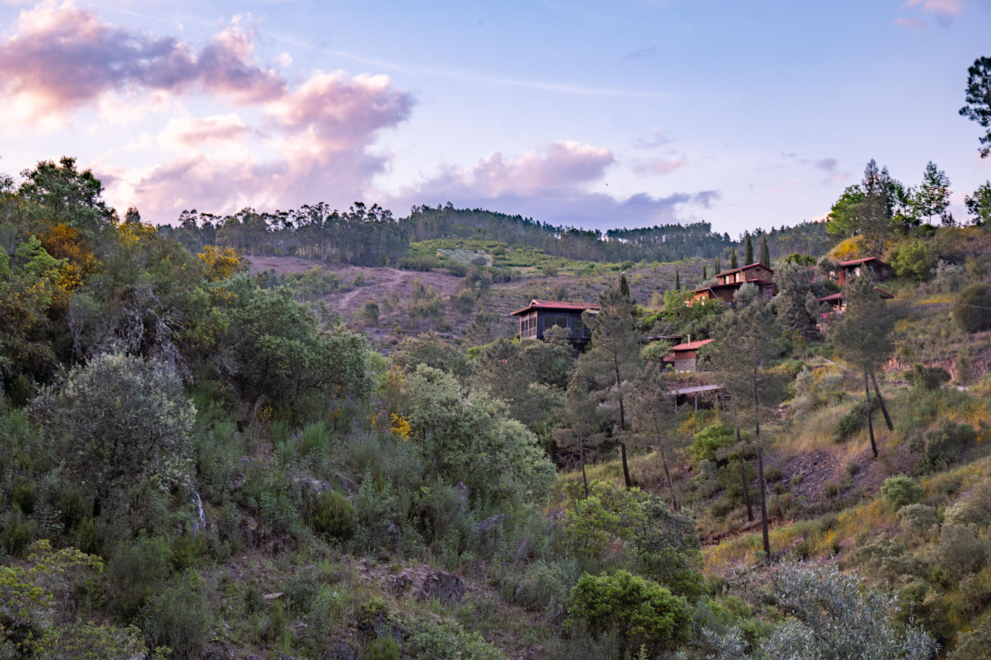 7 Centers Release Retreat | Portugal 2026 | Rooted Foundations